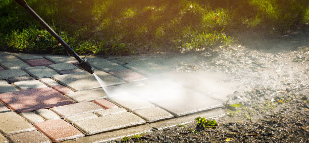 Trusted Balm, FL Pressure Washing Services Experts